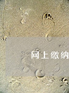 网上缴纳逾期税 网上缴纳逾期税