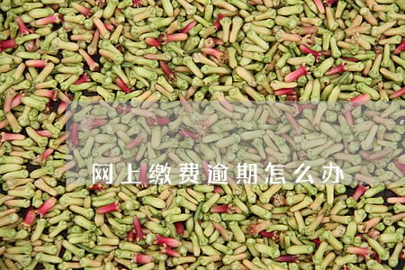 网上缴费逾期怎么办 网上缴费逾期怎么办