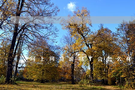 网上网贷逾期了会怎么样 网上网贷逾期了会怎么样