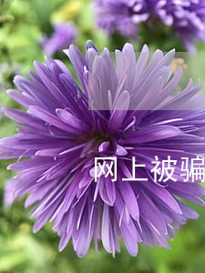 网上被骗可以去法院起诉吗 网上被骗可以去法院起诉吗