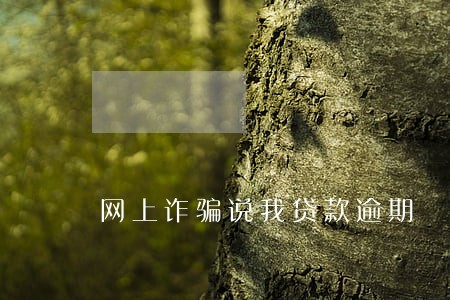 网上诈骗说我贷款逾期 网上诈骗说我贷款逾期