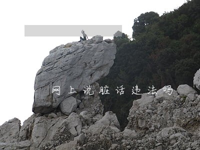 网上说脏话违法吗