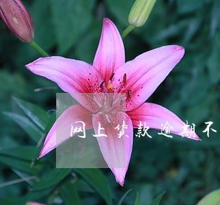 网上货款逾期不还要罚2万到3万