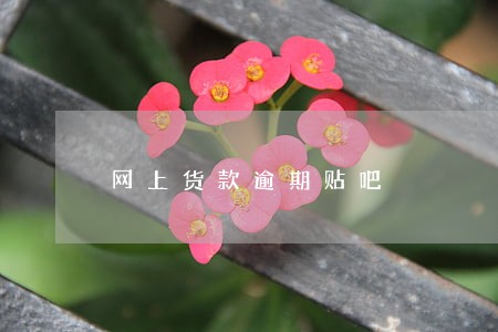 网上货款逾期贴吧