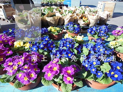 网上购买免税香烟违法吗 网上购买免税香烟违法吗