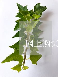 网上购买淫秽视频仅自己看违法吗 网上购买淫秽视频仅自己看违法吗