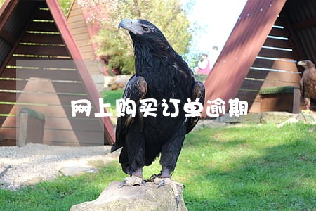 网上购买订单逾期 网上购买订单逾期
