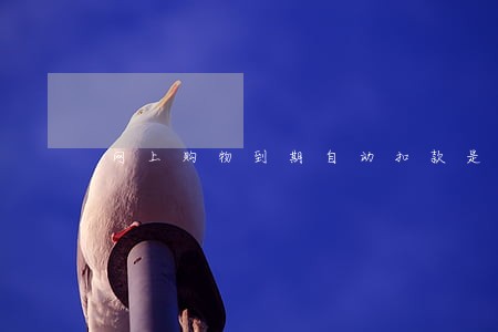 网上购物到期自动扣款是逾期吗 网上购物到期自动扣款是逾期吗
