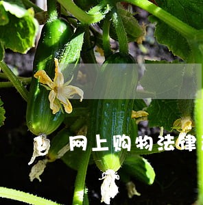网上购物法律咨询电话 网上购物法律咨询电话