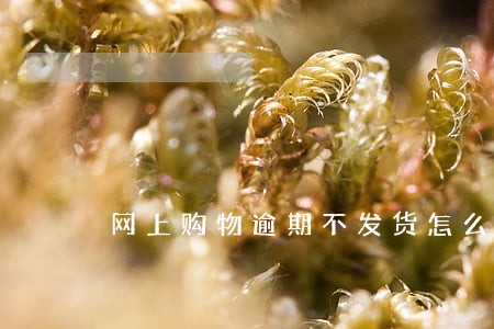 网上购物逾期不发货怎么办 网上购物逾期不发货怎么办