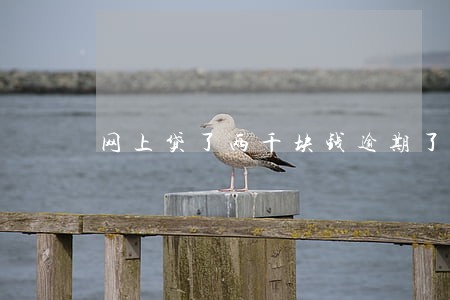 网上贷了两千块钱逾期了怎么办 网上贷了两千块钱逾期了怎么办