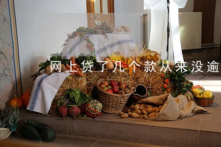 网上贷了几个款从来没逾期过 网上贷了几个款从来没逾期过