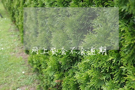 网上贷会不会逾期 网上贷会不会逾期