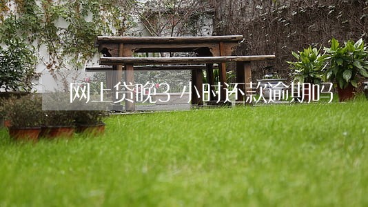 网上贷晚3小时还款逾期吗 网上贷晚3小时还款逾期吗