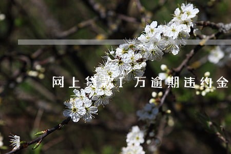 网上贷款1万逾期违约金怎么算 网上贷款1万逾期违约金怎么算
