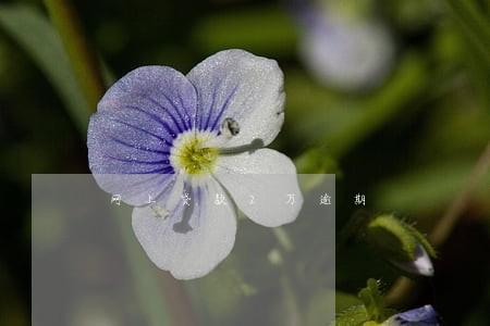 网上贷款2万逾期 网上贷款2万逾期