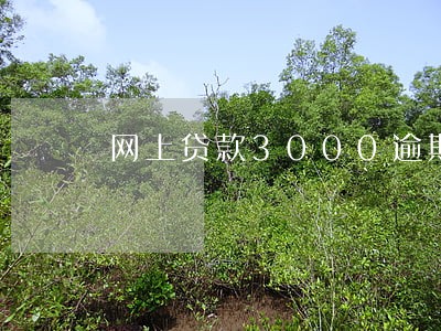 网上贷款3000逾期一年了 网上贷款3000逾期一年了