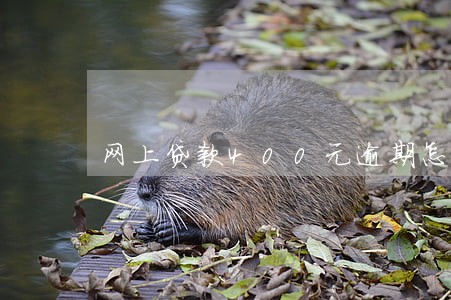 网上贷款400元逾期怎么办 网上贷款400元逾期怎么办