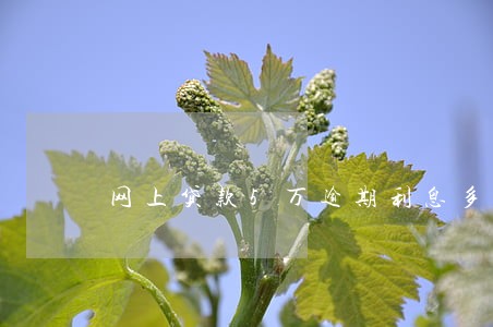 网上贷款5万逾期利息多少 网上贷款5万逾期利息多少
