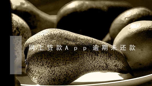 网上贷款App逾期未还款 网上贷款App逾期未还款