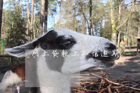 网上贷款上征信逾期 网上贷款上征信逾期