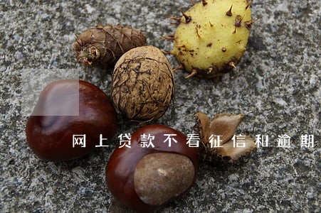 网上贷款不看征信和逾期的 网上贷款不看征信和逾期的