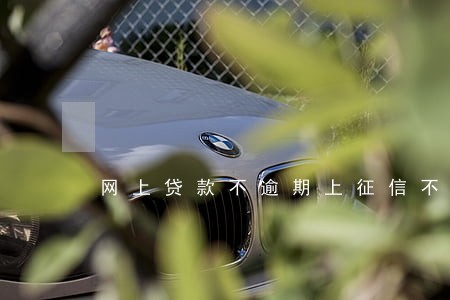 网上贷款不逾期上征信不 网上贷款不逾期上征信不