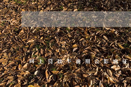 网上贷款不逾期会影响征信吗 网上贷款不逾期会影响征信吗