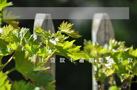 网上贷款不逾期影响贷款买房不 网上贷款不逾期影响贷款买房不