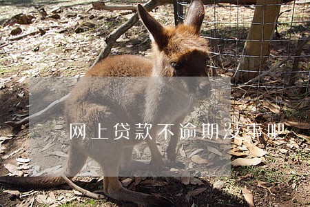 网上贷款不逾期没事吧 网上贷款不逾期没事吧