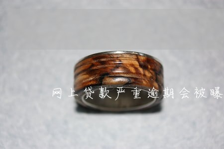网上贷款严重逾期会被曝光吗 网上贷款严重逾期会被曝光吗