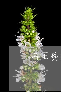 网上贷款严重逾期怎么办