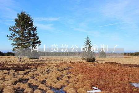 网上贷款公司逾期了 网上贷款公司逾期了