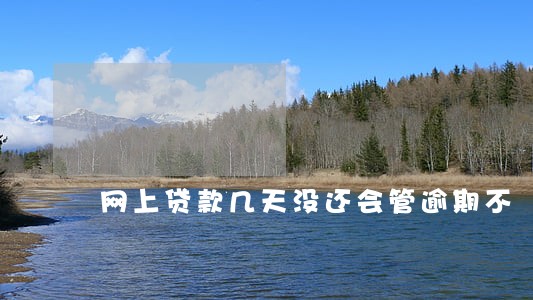 网上贷款几天没还会管逾期不 网上贷款几天没还会管逾期不