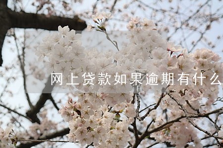 网上贷款如果逾期有什么处罚 网上贷款如果逾期有什么处罚