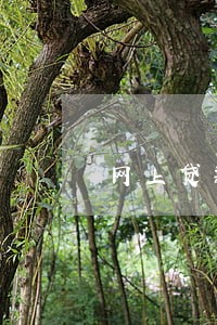 网上贷款有一笔逾期 网上贷款有一笔逾期