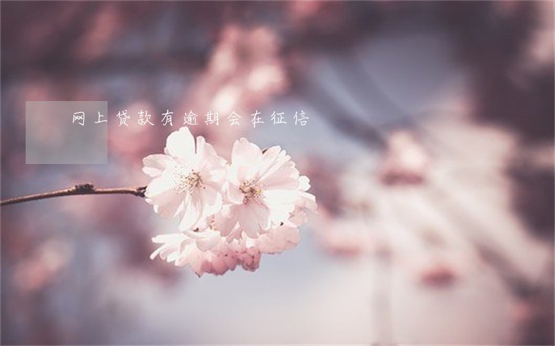 网上贷款有逾期会在征信 网上贷款有逾期会在征信