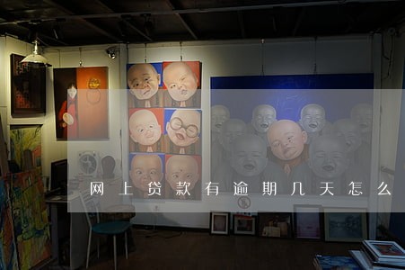 网上贷款有逾期几天怎么办 网上贷款有逾期几天怎么办