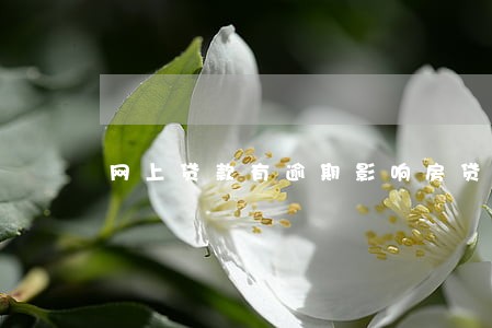 网上贷款有逾期影响房贷吗