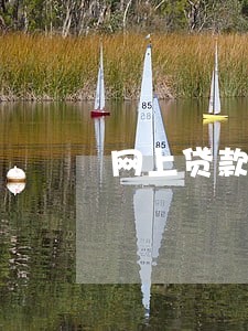网上贷款没有逾期过为什么借不 网上贷款没有逾期过为什么借不
