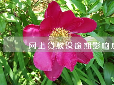 网上贷款没逾期影响房贷吗 网上贷款没逾期影响房贷吗
