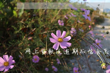 网上贷款没逾期征信会怎么样