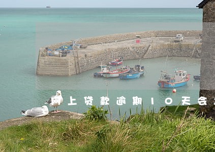 网上贷款逾期10天会怎么样