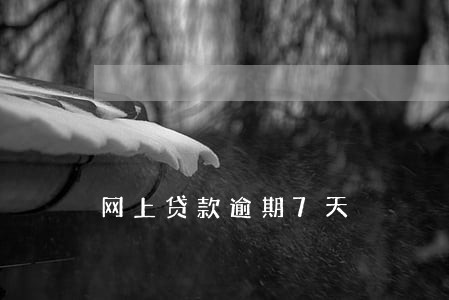 网上贷款逾期7天 网上贷款逾期7天