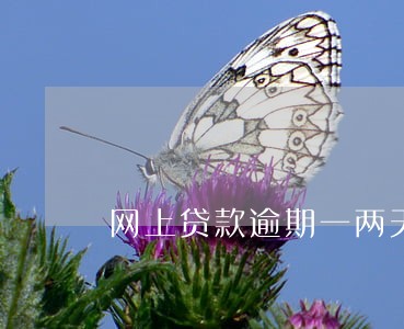 网上贷款逾期一两天有事吗 网上贷款逾期一两天有事吗