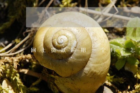 网上贷款逾期一个月会怎样
