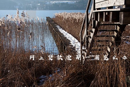 网上贷款逾期一周怎么办 网上贷款逾期一周怎么办