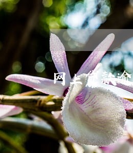 网上贷款逾期一天有影响吗 网上贷款逾期一天有影响吗