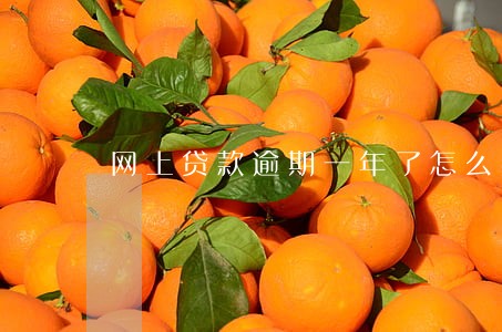 网上贷款逾期一年了怎么办理 网上贷款逾期一年了怎么办理