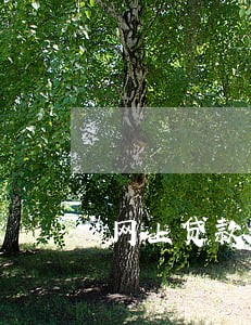 网上贷款逾期一年多了 网上贷款逾期一年多了